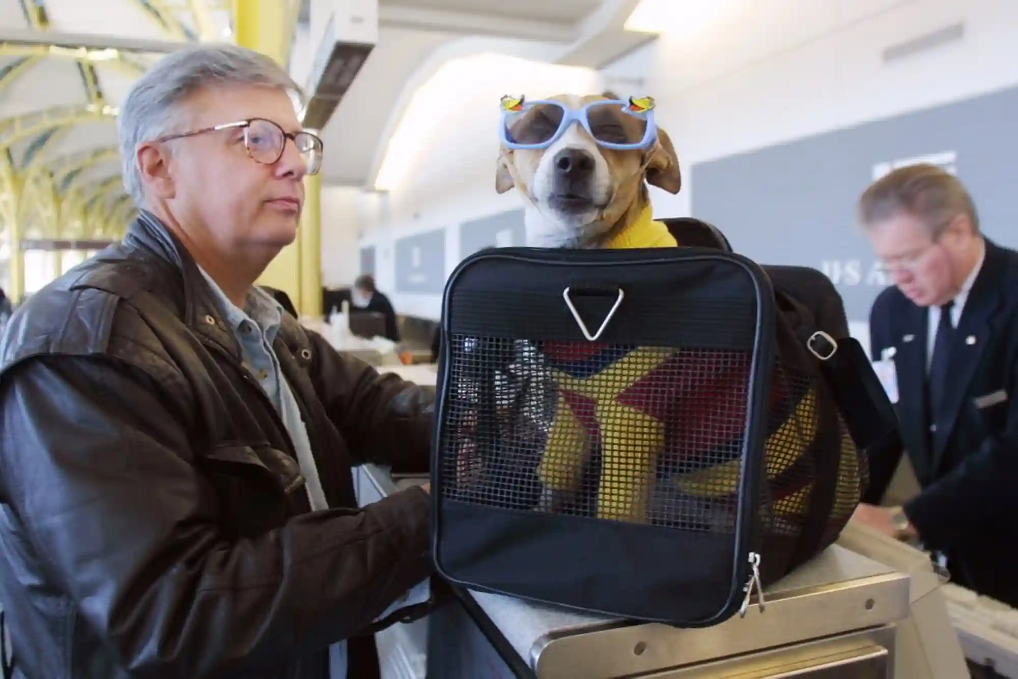 Flying with Dogs as Checked Baggage or Cargo: Temperature Embargoes and Crate Specs